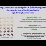 ASTMH 2014, David Fidock: “Identifying compounds active against Plasmodium falciparum gametocytes through the use of luciferase-based high throughput screens”