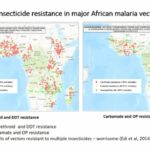 ASTMH 2016, Corine Ngufor: “Comparing the efficacy of insecticide mixture and combination strategies for improved control and management of pyrethroid resistant malaria vectors in southern Benin, West Africa”