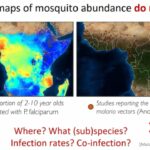 ASTMH 2016, Felix J. Hol: “Interrogating Mosquito-pathogen Communities using High-throughput Microfluidics”