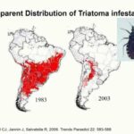 ASTMH 2016, Ricardo Guertler, “Chagas Disease Elimination: where are we now?”