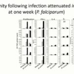 ASTMH 2016, Michael F. Good: “Development of a semi-synthetic whole parasite vaccine”