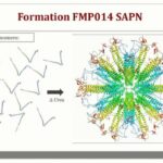 ASTMH 2016, Stephen A. Kaba: “Humoral Immune Responses to an Adjuvanted Self-Assembling Protein Nanoparticle (SAPN) Malaria Vaccine Displaying the NANP repeat and αTSR regions of the Plasmodium Falciparum Circumsporozoite Protein”