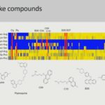 ASTMH 2016, Darren Creek: “Combining metabolomics with proteomics to investigate mechanisms of anti-malarial drug action and resistance”