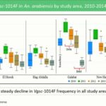 ASTMH 2016, Martin Donnelly: “Implications of insecticide resistance: RCT of LLINs vs LLINs+IRS in an area of pyrethroid resistant An. arabienesis in Sudan”
