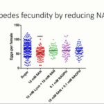 ASTMH 2016, Cody J. Champion: “Pentose phosphate pathway inhibition elevates oxidative stress and impedes fecundity in Anopheles gambiae”