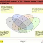 ASTMH 2016, Cyrille Ndo: “Investigating Anopheles funestus susceptibility and immune response to Plasmodium falciparum infection”
