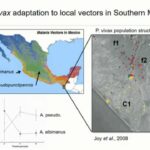 ASTMH 2016, Alvaro Molina-Cruz: “Plasmodium falciparum Pfs47 genetic diversity in field collected Anopheles gambiae and Anopheles coluzzi from Mali, Africa”