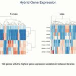ASTMH 2016, Kevin C. Deitz: “Hybrid Allelic Imbalance and Gene Expression Evolution in the Anopheles gambiae Species Complex”