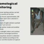ASTMH 2016, Immo Kleinschmidt: “Impact of outdoor biting on infection in humans on Bioko Island”