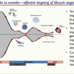 ASTMH 2016, Sarah K. Volkman: “Impact of Antimalarial Drug Resistance on Malaria Transmission”
