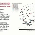 ASTMH 2017, Ananias Escalante: “Translating population genetics into molecular epidemiology: incorporating parasite demography into epidemiological studies in Latin America”