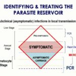 ASTMH 2017, Rhoel D. Dinglasan: “Novel P. falciparum biomarkers: Discovery and field testing results”