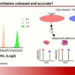 ASTMH 2017, Tuo Yang: “Capturing differential protein turnover dynamics in Artemisinin resistant Plasmodium falciparum using pulse-SILAC”