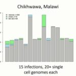 ASTMH 2017, Ian Cheeseman: “Single Cell Genomics of Malaria Infections”