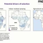 ASTMH 2017, Catherine Moyes: “Geospatial Patterns of Insecticide Resistance”
