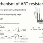 ASTMH 2017, Daniel Neafsey: “Comparative longitudinal population genomic surveys of Plasmodium falciparum malaria parasites in French Guiana and Thailand”
