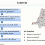 ASTMH 2017, Robert Verity: “Variation at the var2csa locus: Results from a cross-sectional study in Democratic Republic of Congo”