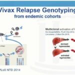 ASTMH 2017, Nicholas Brazeau: “Plasmodium vivax whole genome sequencing to assess genetic relatedness of polyclonal relapses in Cambodia”