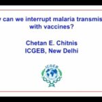 How can we interrupt malaria transmission with vaccines?