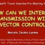 How can we interrupt malaria transmission with vector control