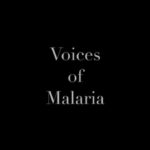 “Voices of Malaria”