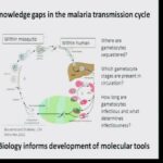 ASTMH 2014, Matthias Marti: “Molecular parasitology of infectiousness”