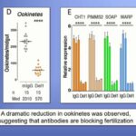 ASTMH 2018, Carolina Barillas-Muri:  “Understanding and Disrupting Plasmodium falciparum Malaria Transmission by targeting Pfs47”