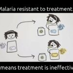 ASTMH 2018, Tamsin E. Lee: “Identifying key factors of the transmission dynamics of drug-resistant malaria”