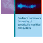 Guidance framework for testing genetically modified mosquitoes
