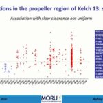 ASTMH 2018, Arjen Dondorp: “Genetic epidemiology of drug resistance in Greater Mekong Subregion”