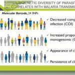 ASTMH 2018, Daouda Ndiaye: “Genetic epidemiology to support malaria transmission surveillance in Senegal”