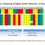 ASTMH 2018, Elizabeth Chizema: “Genetic epidemiology for measuring the impact of large scale intervention (MDA) in Zambia”