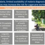 ASTMH 2018, Graziella Scudu: “Targeting populations at risk for malaria with active surveillance on sugar cane plantations in Guatemala”