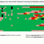 ASTMH 2018, Jean Popovici: “Genomic profiling of Plasmodium vivax relapses in Cambodia”