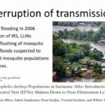 ASTMH 2018, Helene Hiwat-Van Laar: “Vector control strategies in an elimination context: The example of Suriname”
