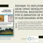 ASTMH 2018, Mamadou Coulibaliy: “Country perspectives on gene drive mosquitoes for malaria control”