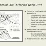 ASTMH 2018, Steve Lindsay: “Overview of the recommendations”