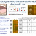 Rhoel R. Dinglasan: Saliva-based Malaria Asymptomatic & Asexual Rapid Test (SMAART-1)
