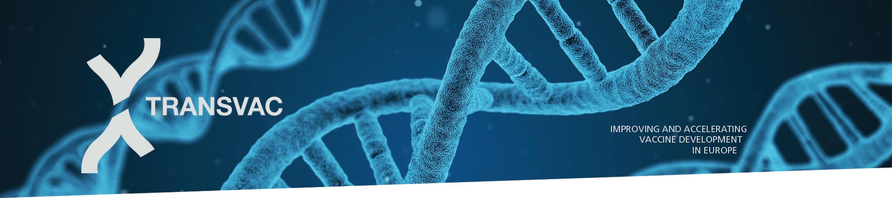 TRANSVAC