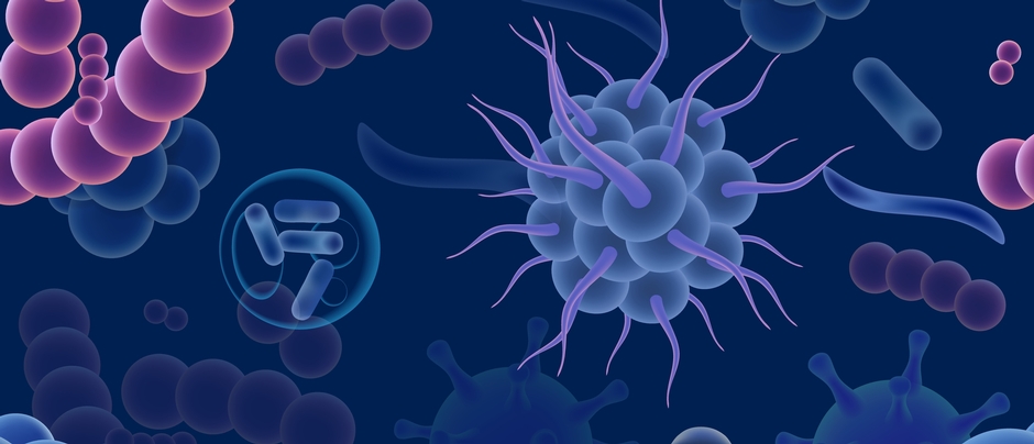 Ecology and Evolution of infectious diseases