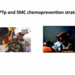 ASTMH 2019, Oumar Gaye: “Drug efficacy, safety and evaluation of drug resistance in IPTp and SMC chemoprevention strategies”