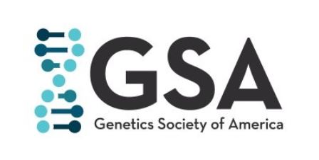 GSA