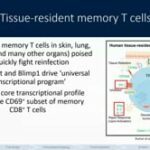 ASTMH 2019, Andrés Noé: “Novel methods to determine liver-stage malaria vaccine correlates of protection: kinetics, deep immune phenotyping and transcriptomics”