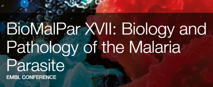 BioMalPar_2021