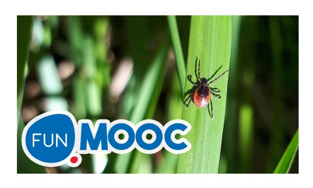 MOOC_Medical entomology