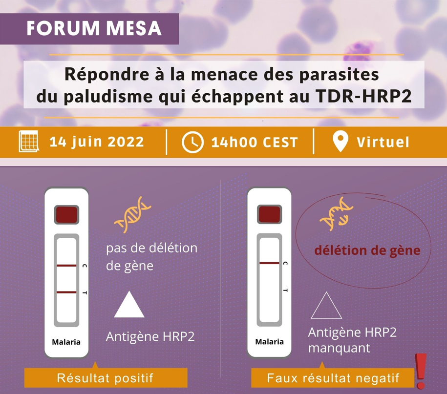 Flyer ForumMESA -Image (French)