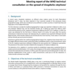 Meeting report of the WHO technical consultation on the spread of Anopheles stephensi