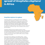 WHO initiative to stop the spread of Anopheles stephensi in Africa