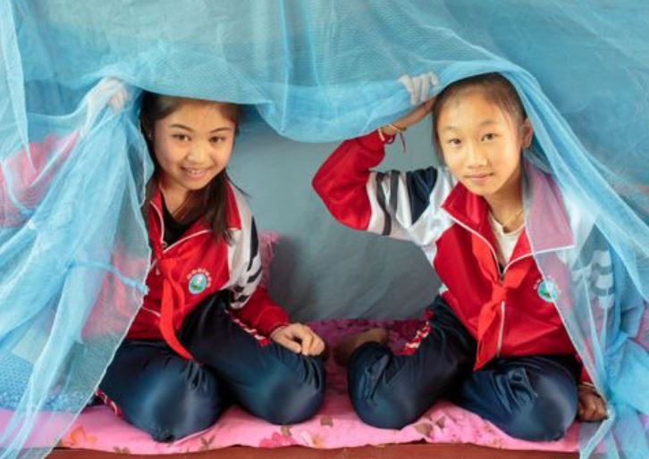 OpenWHO - Malaria Elimination