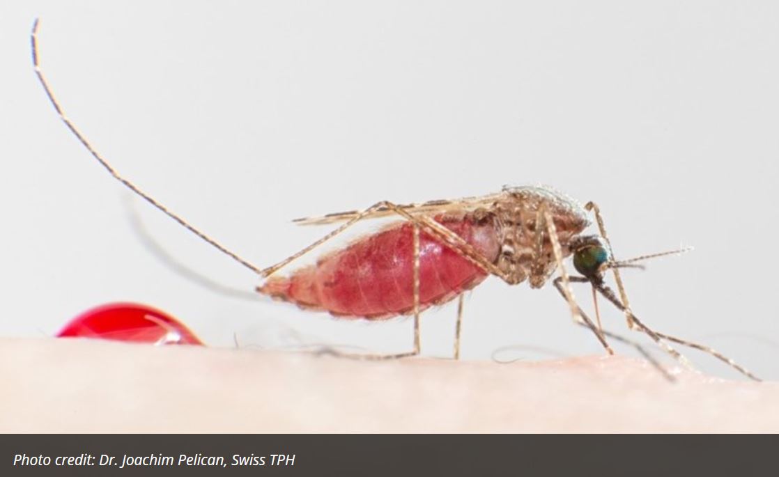 LSHTM_Lecture Nov 2022